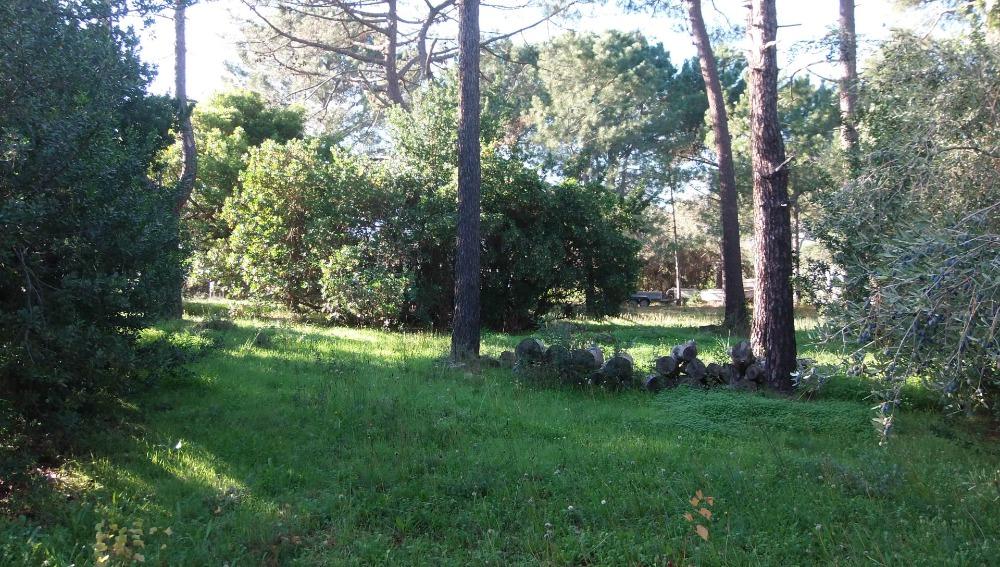 Conca Oru Immobilier